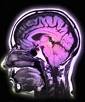 Brain scan 'can read your mind'