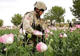 The Afghan War: "No Blood for Opium"