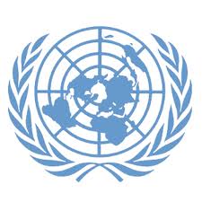 The United Nations Security Council: An Organization for Injustice