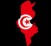 « Printemps arabe » : Tunisie, l'art d'avancer en arrière ?