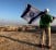 Settlements israeli flag
