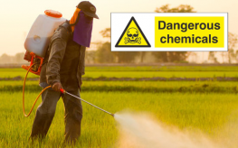 pesticides_mask_chemicals-263x164
