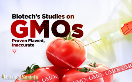 gmos_tomato_study_flawed_nslogo-263x164