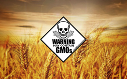wheat_field_warning-263x164