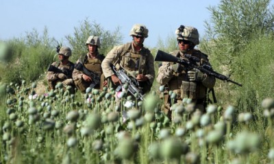 US troops in opium field in Afghanistan