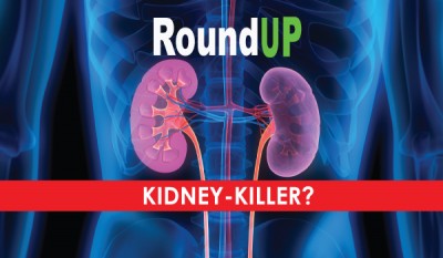 roundup_kidney_killer