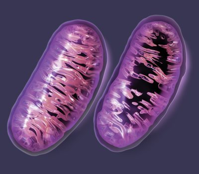 Mitochondrial-Damage-Big-Pharma
