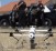 armed-police-drone