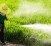 pesticides-spray-herbicide-735-350-722x350