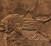 mort-lion-ninivee-assyrie