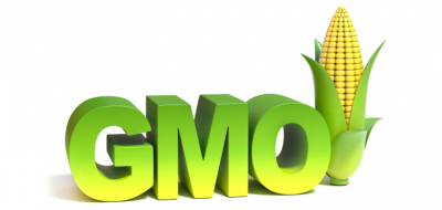 Image result for gmos