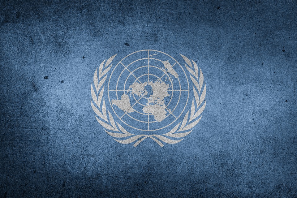 Hands Off Venezuela: Historic Stance at the United Nations against US Imperialism - image of UN flag