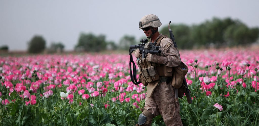 MARJAH, Helmand province, Islamic Republic of Afghanistan – Corporal Mark Hickok, a 23-year-old combat engineer from North Olmstead, Ohio, patrols through a field during a clearing mission April 9. Marines with Company B, 1st Tank Battalion, learned basic route clearance techniques from engineers like Hickok, who are deployed with 1st Combat Engineer Battalion. (U.S. Marine Corps photo by Cpl. John M. McCall)