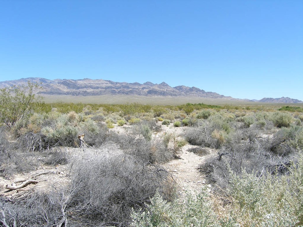 desert-national-wildlife-refuge-america.jpg