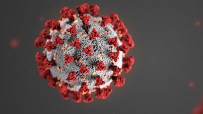 The Delta Variant is Creating Havoc Among the Vaccinated Coronavirus-400x226