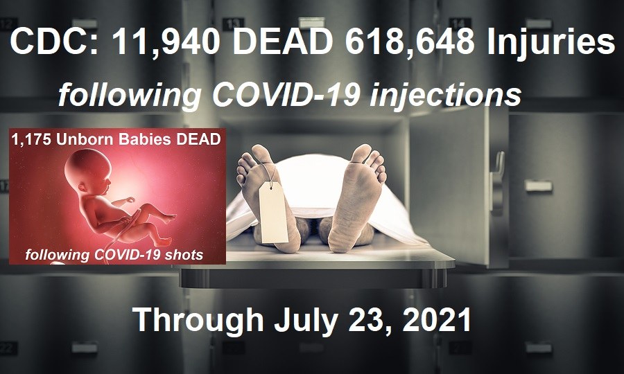 CDC: 11,940 Dead 618,648 Injuries and 1,175 Unborn Babies Dead Following COVID-19 Shots - Global Research