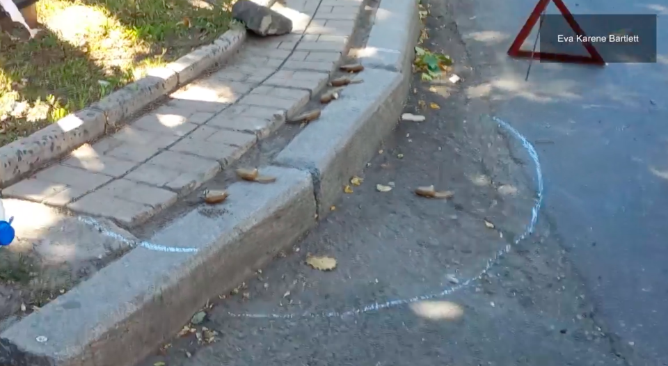 Video: Ukraine Deploying Petal Mines Against Donetsk Civilians
